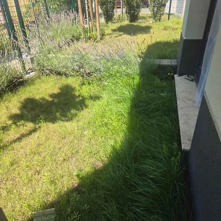 Garden Near Paradise Mall * 소피아